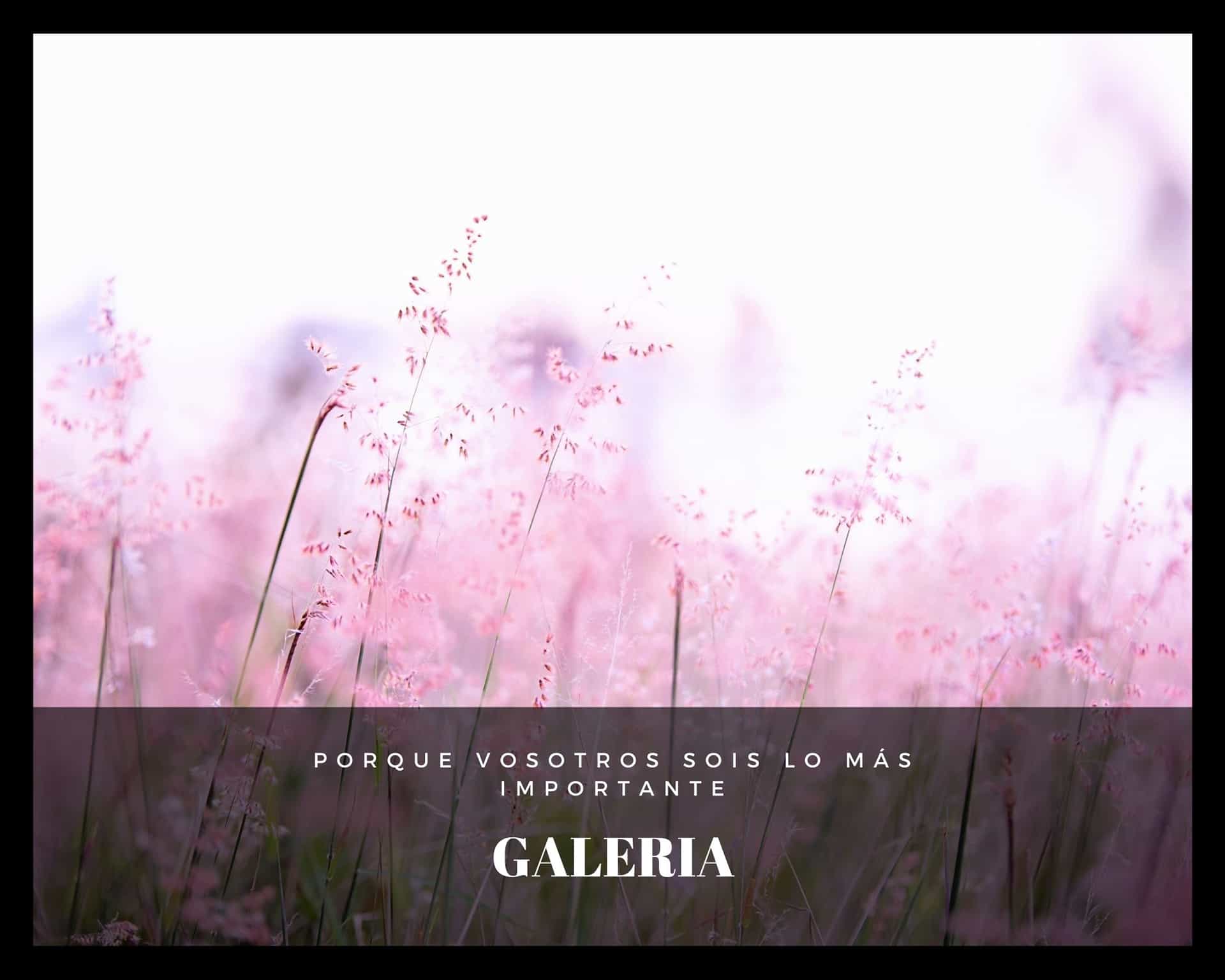 Banner - Galería - Pilar Blanes - Jinsei Ki