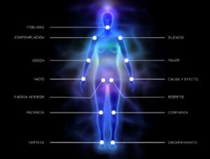 Los Pilares de la conciencia y Jinsei Ki - Talleres - Pilar Blanes - Jinsei Ki