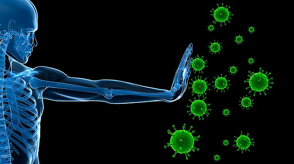 Patologías - Servicios Particulares - Pilar Blanes - Jinsei Ki Patologías - Servicios Particulares - Pilar Blanes - Jinsei Ki